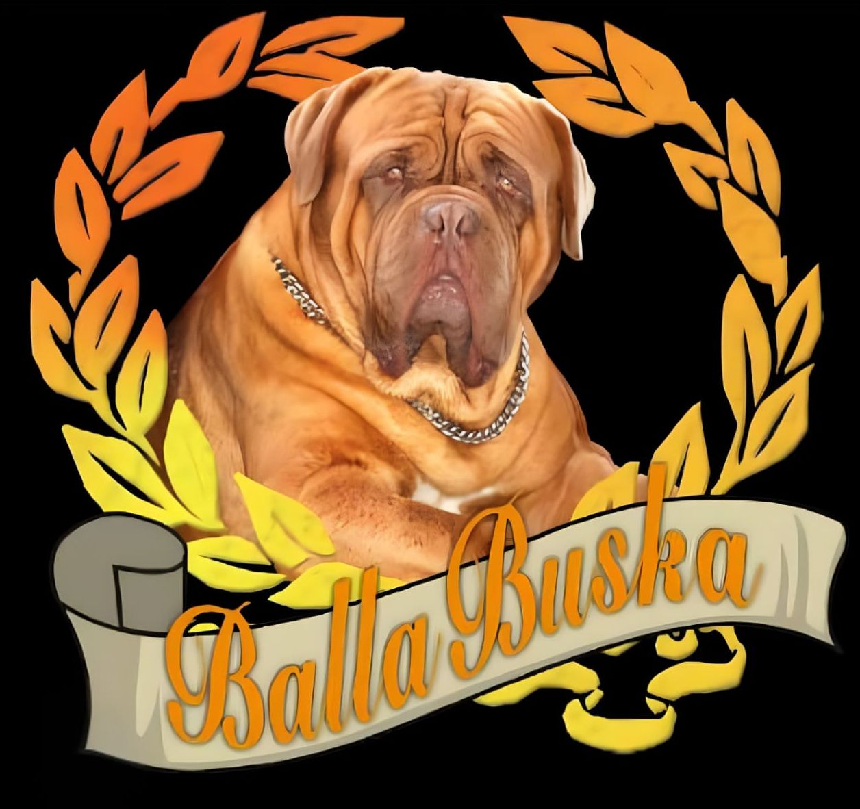Logo Balla Buska